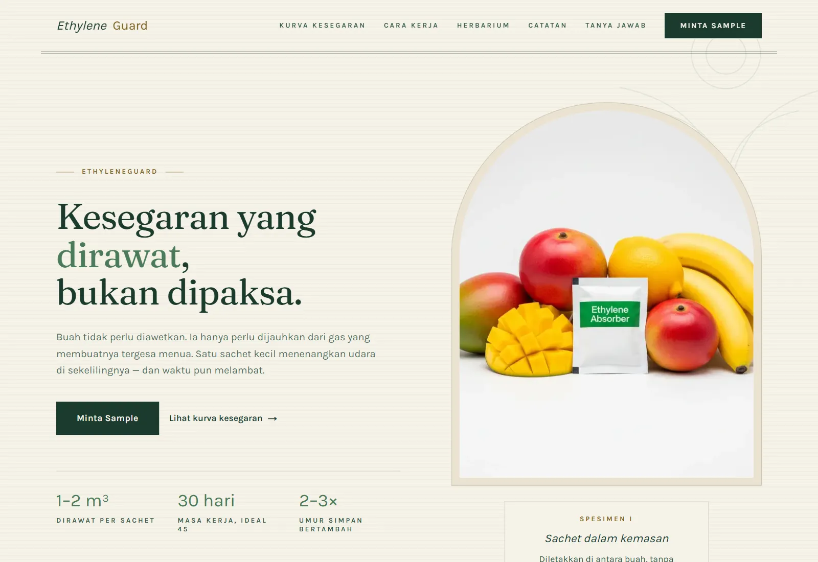 Beranda entri Konsep Divine — Plate Botani